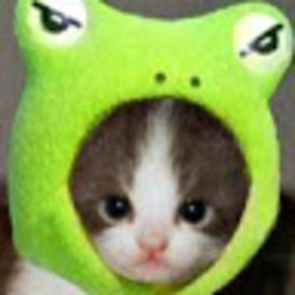 sssquid